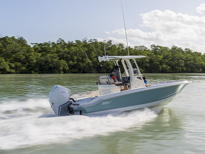 2025 Boston Whaler Dauntless 250 Dauntless