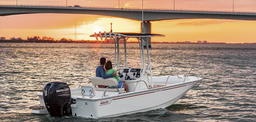2025 Boston Whaler Montauk 190 Montauk